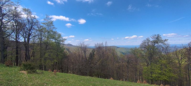 IMG_20250509_120737.jpg