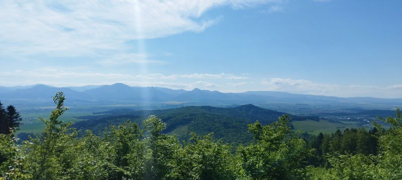 IMG_20250509_095209.jpg