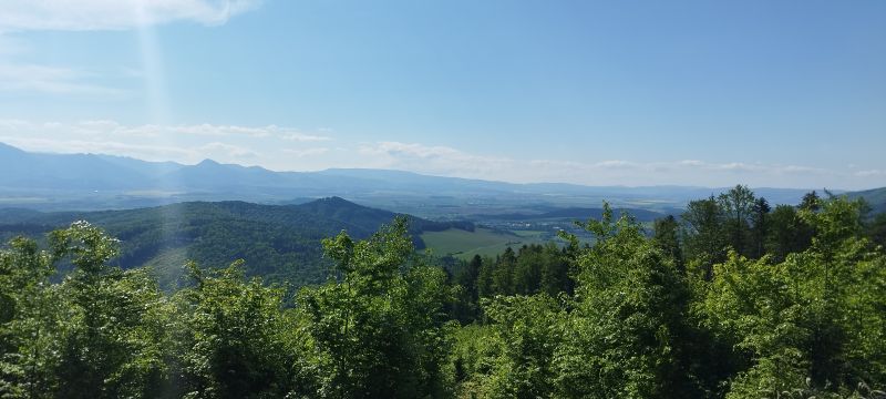 IMG_20250509_095212.jpg