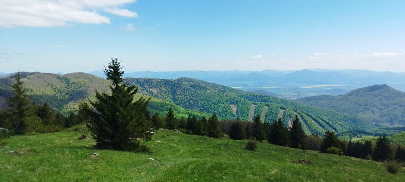 IMG_20250509_122218.jpg