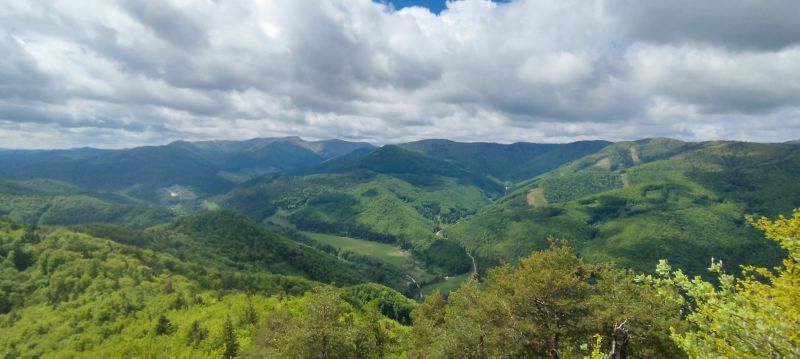 IMG_20250516_135102.jpg