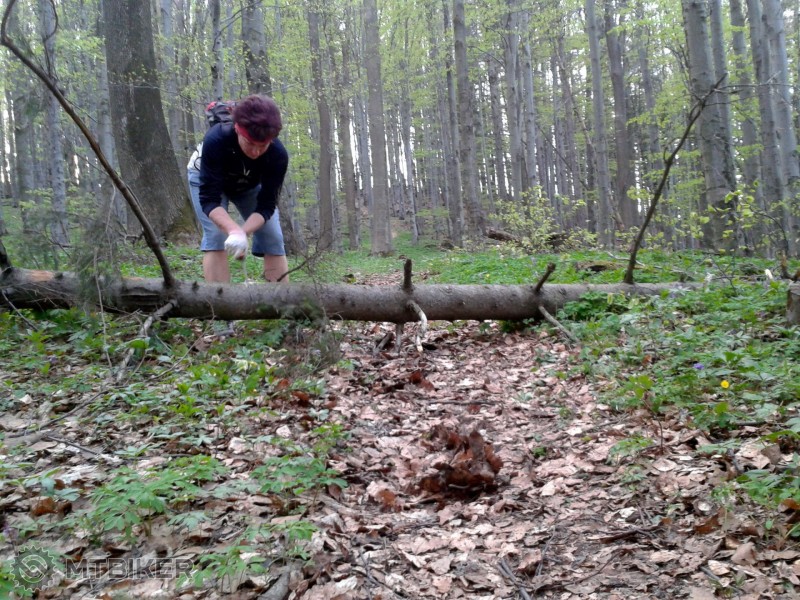 1-2015-04-27 18.43.04.jpg (597.52 KiB) Zobrazená 1079 krát 1-2015-04-27 18.43.04.jpg