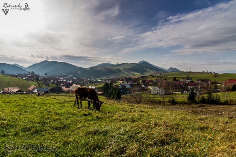 Malatiná / malatina-6835_tgd.jpg malatina-6835_tgd.jpg