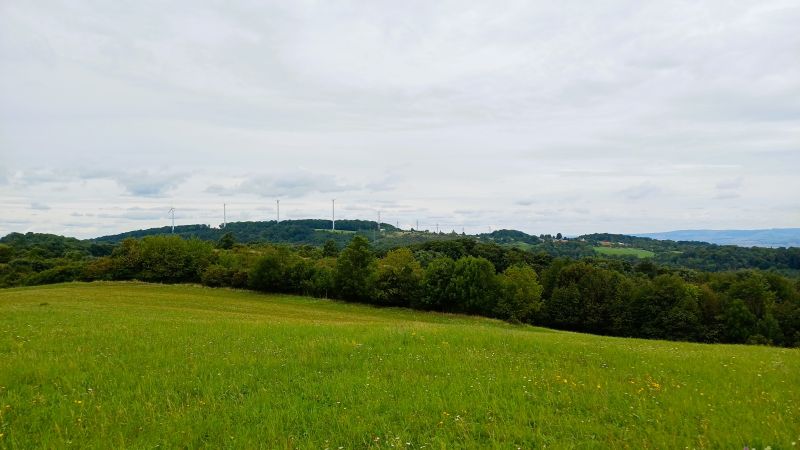 20250830_133725.jpg