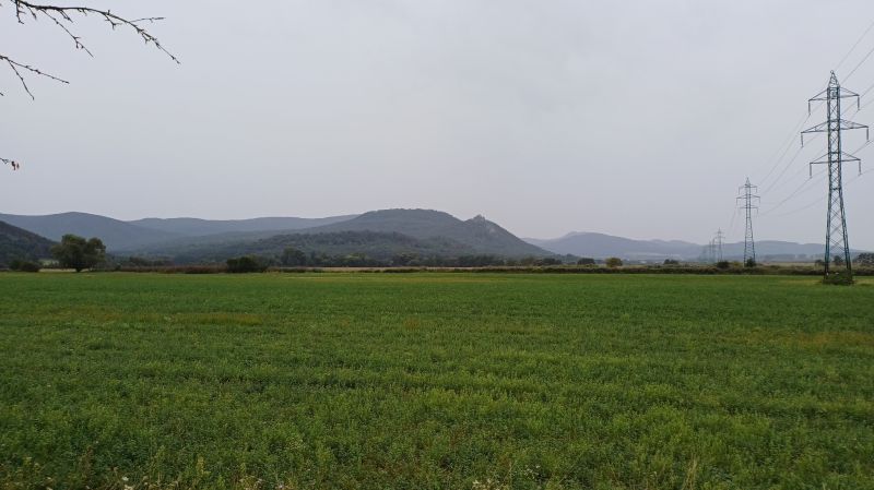 20250830_173354.jpg