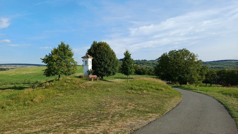 20250909_164451.jpg